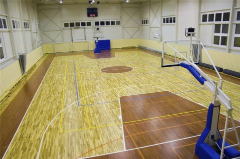 手把手教會你選專業運動木地板